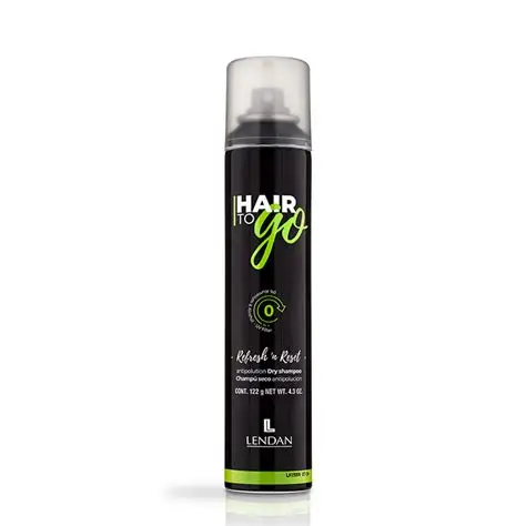 HAIR TO GO LENDAN DRY SHAMPOO 4.3 OZ